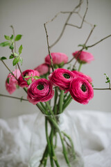 Beautiful pink ranunculus flowers standing in the glass vase with tree branches, close up view 