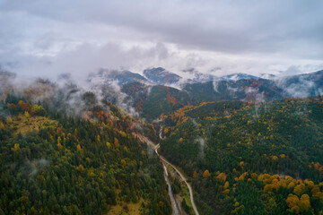 Aerial drone view over autumn forest. Colorful trees in the wood. Autumn forest aerial drone view. Autumn background, aerial drone view of beautiful forest landscape with autumn trees from above.