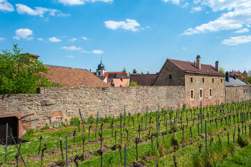 Teil der Alten Stadtmauer am Stadtmauerrundweg in Wachenheim. Region Pfalz im Bundesland...