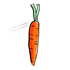 Carrot isolated on white.