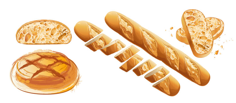 Set of vector french sliced baguette. Slices and crumbs. White long bread loaf. Rye whole grain baked bread. Logo, icon. sketch realistic line vintage illustration. Top view