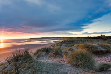 Obraz premium Scenic view of green shrubs covered with frost on sandy Lunan Bay in Arbroath, Scotland at sunset