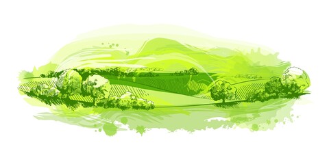 Watercolor green field landscape on small hill. Vector meadow grass, nature, pasturage, farm. Rural scenery landscape panorama of countryside pastures.