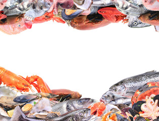 Seafood on white background isolated