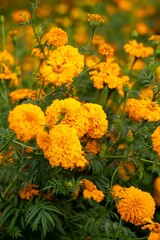 Vertical closeup shot of orange marigold flowers during the Day of the Dead in Michoacan, Mexico.