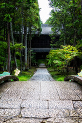 	新緑に囲まれた曹源寺｜縦構図