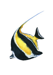 Watercolor painting marine underwater of Fish moorish idol zanclus isolated on white background, closeup, botanical illustration.