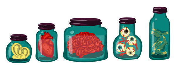 A collection of organs and specimens stored in glass jars. The jars contain human ears, eyes, brains, heart, fingers from zombies. the witch's supplies. Illustration for Halloween. A set for a potion