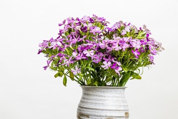 Closeup of beautiful flowers in a ceramic vase on a white background