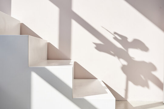 Stairs podium, stairs platform. Podium with stairs . Studio room background with sunlight and shadows for product demonstration. The shadow of tropical plant. Geometry form. High quality photo