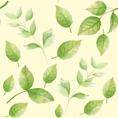 Rose leaves and herbal isolated on cream seamless background, top view. Watercolor food and healthcare illustration