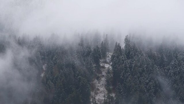 nuvole si uovono lentamente al di sopra di un bosco di abeti, il lento movimento delle nuvole in montagna