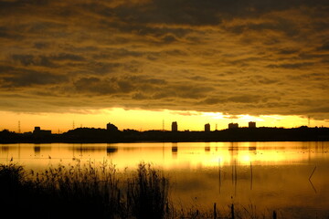 印旛沼の夕焼け４