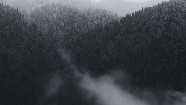 un bel timelapse di nuvole nel bosco, nuvole sul bosco innevato che si spostano con il vento