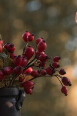 Vertical shot of a branch of rosehips