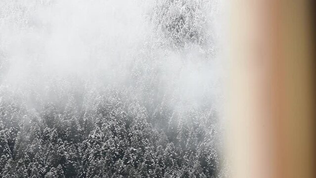 la vista di un bosco di montagna innevato, la montagna e la natura