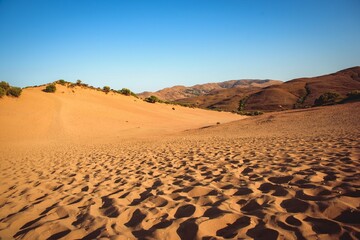 Fototapeta na wymiar Beautiful view of a desert under the clear sky during sunrise