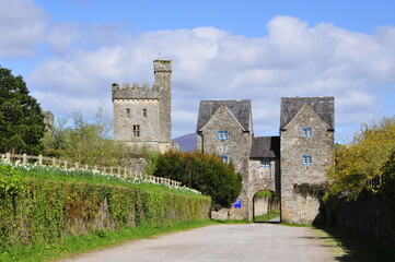 Fototapeta na wymiar Lismore Castle on Blackwater river , town of Lismore ,county Waterford , region Munster , Ireland