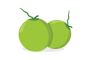 Coconut fruit vector design isolated on white background. vector illustration