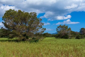 Fototapeta premium Beautiful landscape next to a hiking trail