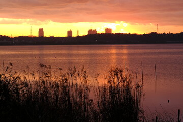 印旛沼の夕焼け２９