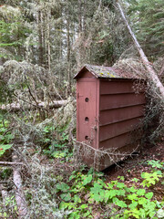 Fototapeta premium A rustic birdhouse structure stands in the middle of the forest wilderness. It is surrounded by plants and trees