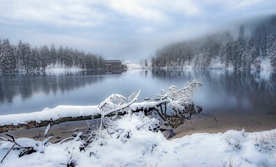 Scenic view of a frozen lake with shoreline fir trees covered with snow