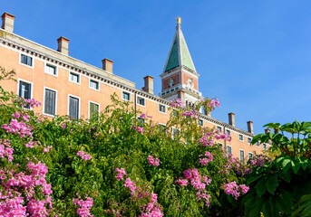 St Mark's Campanile and flowers in royal garden, Venice, Italy