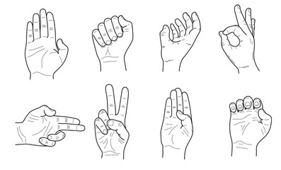 Collection of  male hand gestures on white background. Vector.