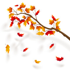 Fototapeta na wymiar Branch of maple tree, autumn leaf fall. Autumn realistic vector illustration on trancparency background.