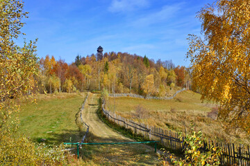 Autumn mountains landscape. Colorful foliage in the autumn forest. 
View of observation wooden tower on the top of the Koziarz peak in Beskid Sadecki mountains