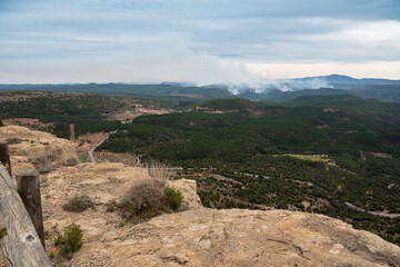 Fototapeta na wymiar A fire burning through a forest March 2023 in Castellon mountains Spain