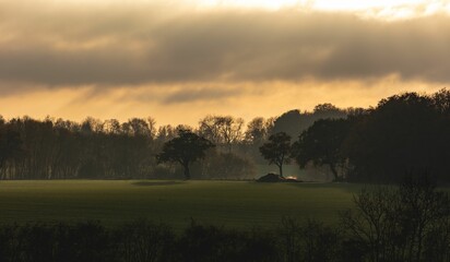 Park view at sunset before storm, with dark and purple clouds background
