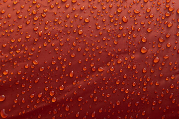 Water drops on the waterproof tent fabric.
Tent fabric.
Raindrops in the tourist tent are closing in the morning sun.
Condensation water droplets on orange surface. Camp in Hacilli village.
