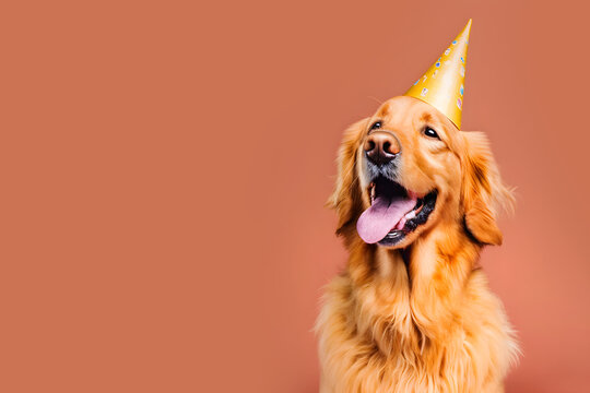 Golden Retriever Labrador dog with birthday party hat isolated on orange red background, copy space for text, digital art, ai generated