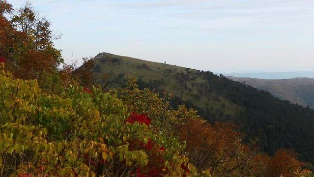 Mesmerizing footage of the Domogled-Valea Cernei National Park in Romania