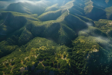 Fototapeta na wymiar Top view of the forest on the mountain. Generative AI
