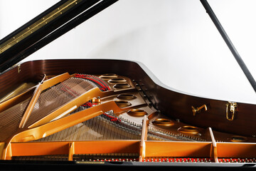 Inner details of luxury grand piano such as hammers, strings and pins