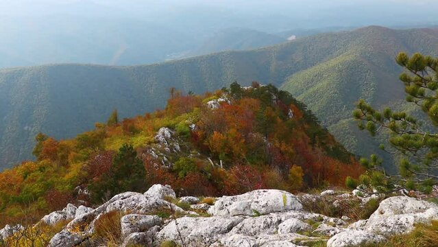 Mesmerizing footage of the Domogled-Valea Cernei National Park in Romania