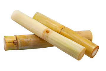 Single object of Sugar cane isolated on white background