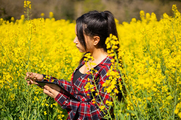 Naklejka na ściany i meble Agricultural woman technician with a folder checking the growth of rapeseed crop yellow flower. Female agricultural engineer working in field. Brassica napus crop. Modern technologies in agriculture.