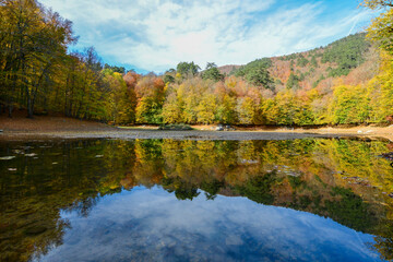 Reflections in the mountain lake. Forest photo reflected in the lake.
Forest reflection in the lake.
Mountains and forest reflection on the water surface.7 Lakes Bolu, Türkiye.