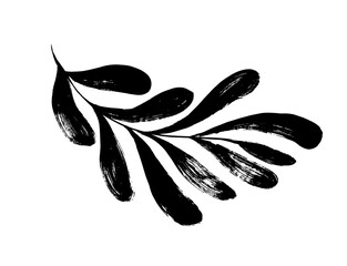 Abstract matisse and naive style of leaves. Brush drawn organic frond, tropical or exotic branch isolated on white background. Vector matisse style black branch. Contemporary organic plant