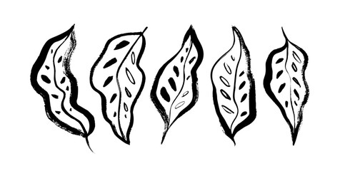 Tropical leaves isolated on white background. Hand drawn vector botanical elements collection. Brush drawn jungle plants, exotic leaves with ornament. Organic foliage. Black and white ink illustration