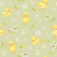 Pattern with little ducks and spring flowers. Watercolor seamless texture with hand-drawn ducklings, apple tree flowers and leaves