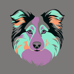 Naklejka premium Collie dog's face in fun teal, orange and purple colors