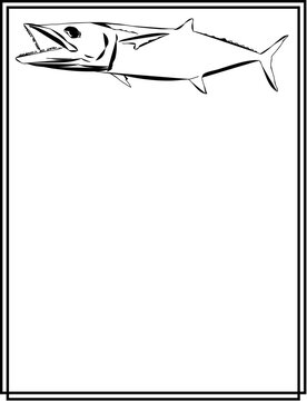 recommend clip art: Outlined King Mackerel With Frame