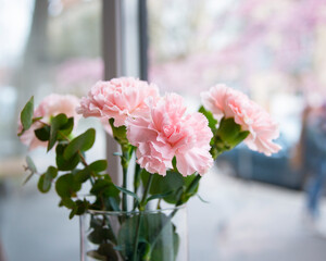 Small bouquet of pink carnations selective focus beautiful flowers