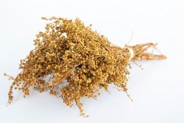 bunch of dried highland flowers. golden flower. white background.