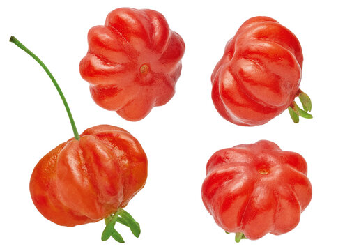 conjunto de pitangas vermelhas maduras em fundo transparente 